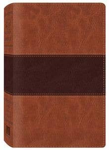 The KJV Study Bible Two-Toned Brown